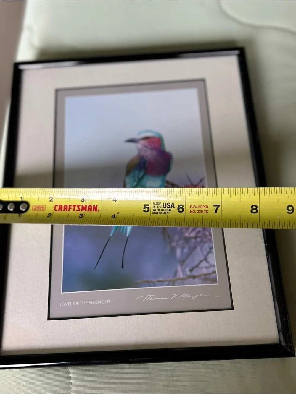 Unique Colorful Exotic Bird Art Print in Black Frame Wall Decor